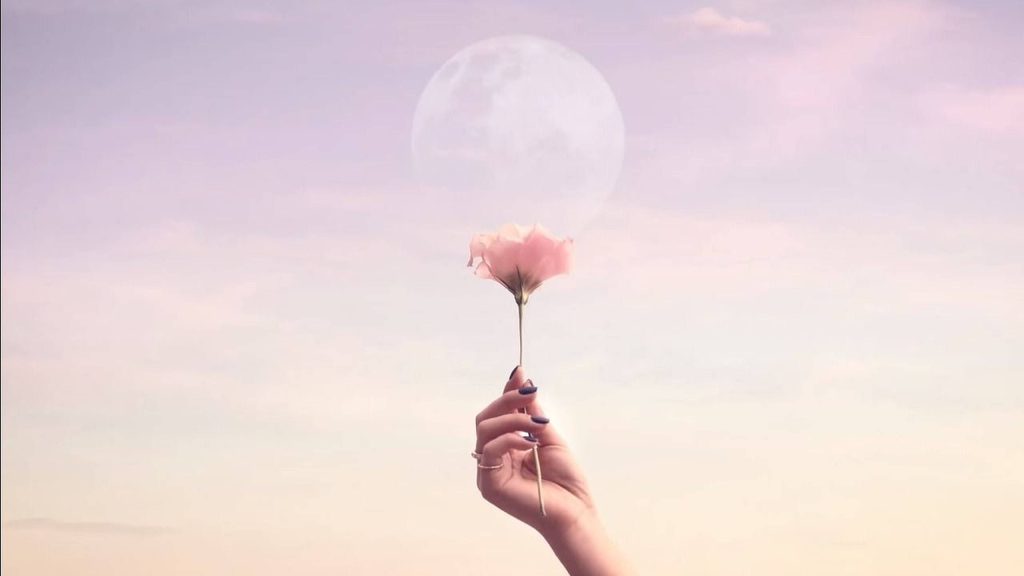 Hand holding pale pink flower with glowing moon pastel sky serene aesthetic laptop wallpaper background