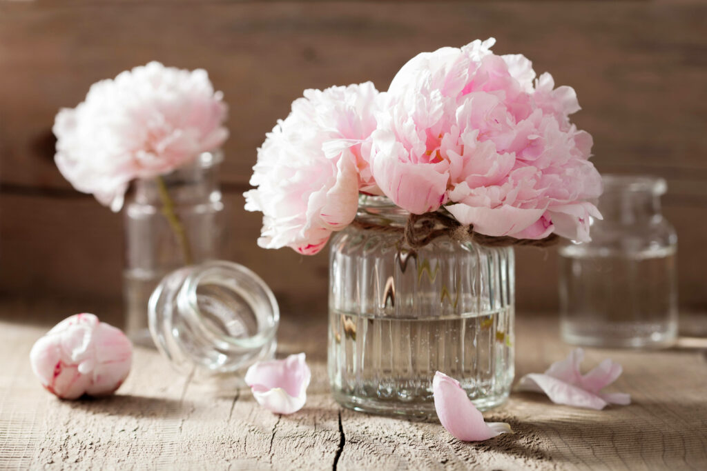 Serene Pink Peony Wallpaper in Glass Jars on Rustic Wood Background