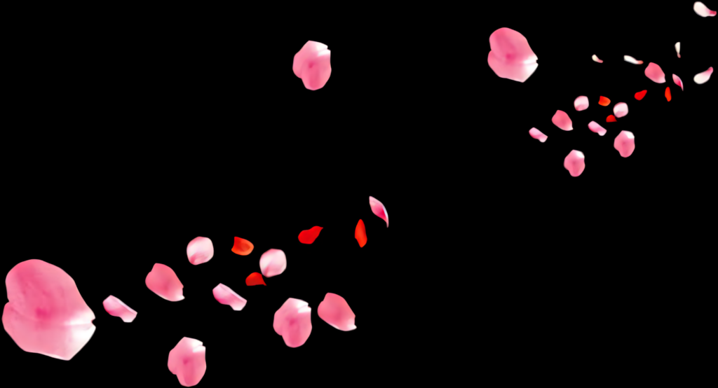 Delicate Pink Petals on Black Background - Tranquil Floral Wallpaper