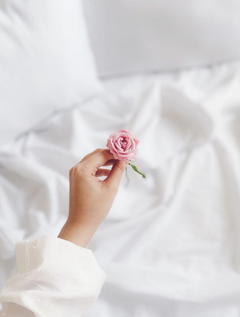 Elegant Pink Rose in Hand - Serene Wallpaper Background