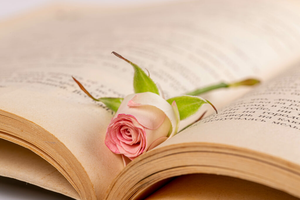 Delicate Pink Rose on Book Pages: Serene Romantic Wallpaper