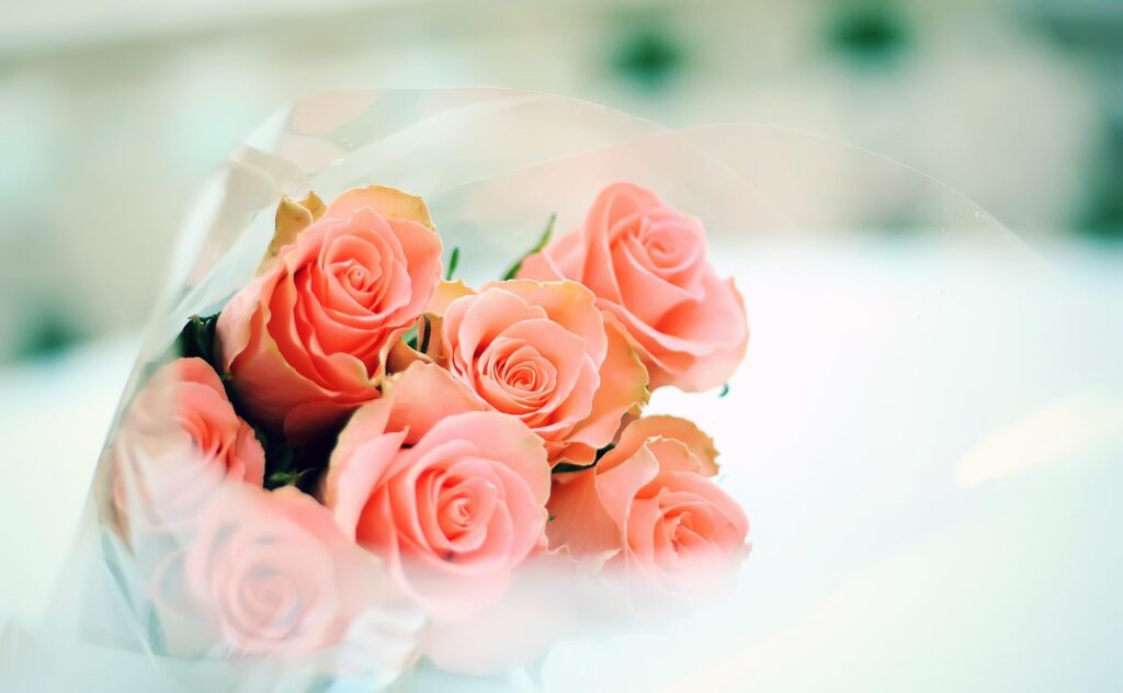 Elegant Soft Pink Roses Bouquet - Vibrant Floral Wallpaper Background
