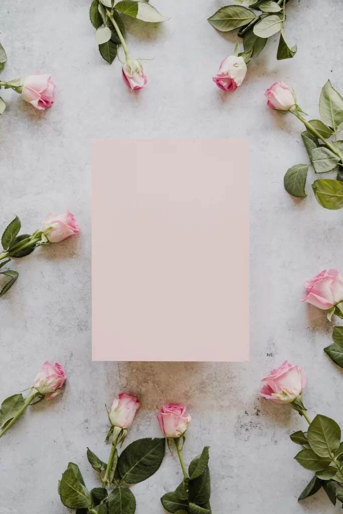 Delicate Pink Roses Wallpaper for Elegant iPhone Background
