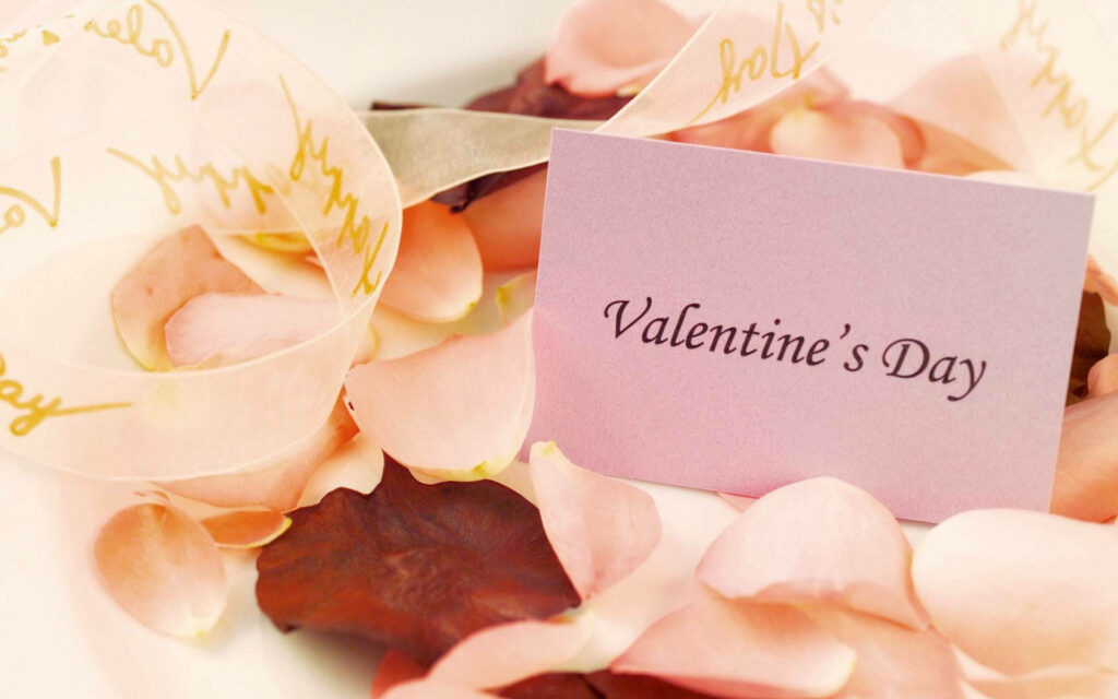 Delicate pink Valentine’s Day card on soft red rose petals romantic wallpaper background