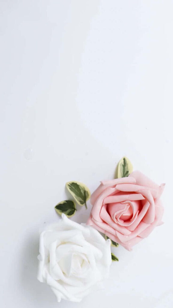 Delicate Pink & White Rose Wallpaper: Serene Floral Background