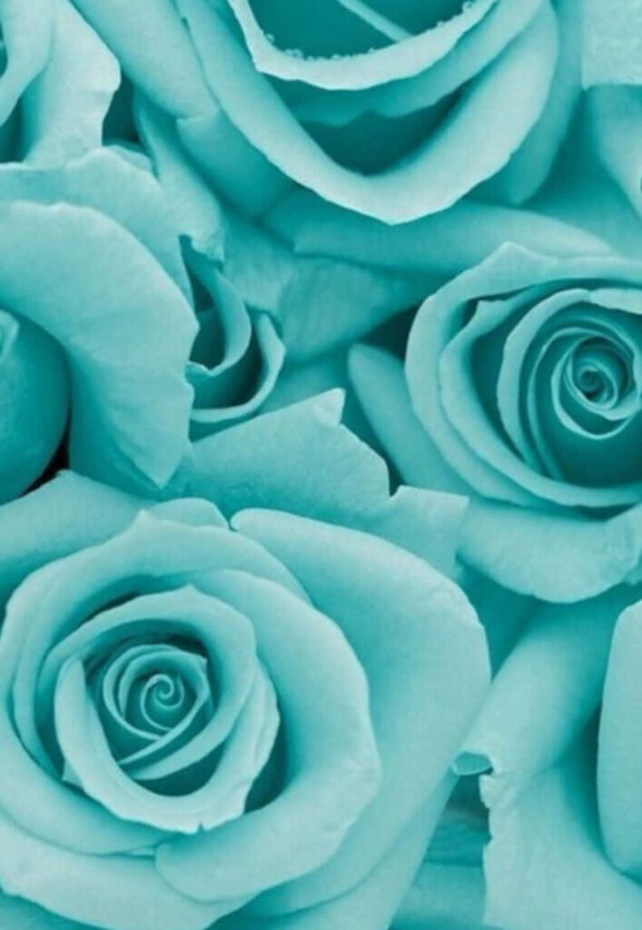 Delicate Teal Rose Wallpaper: Serene & Elegant Background Design