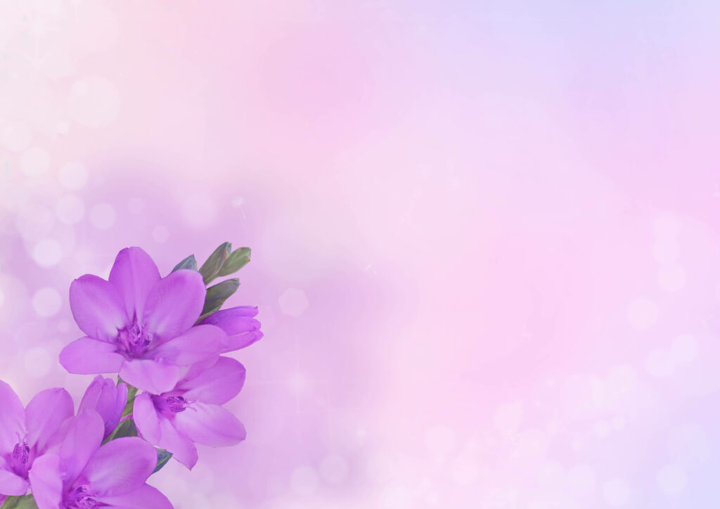 Delicate Violet Flowers on Soft Pastel Background Wallpaper