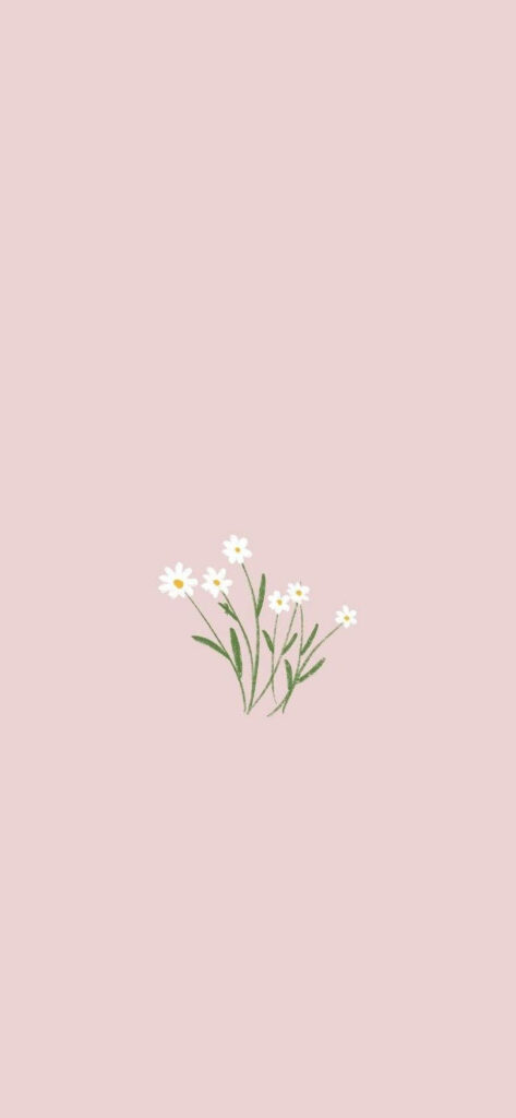 Pastel Pink Spring Wallpaper with Delicate White Flowers
