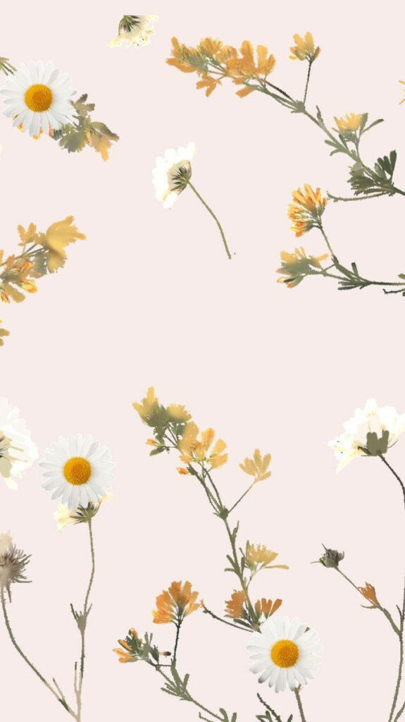 Serene Floral Aesthetic Wallpaper: White & Yellow Flowers Background