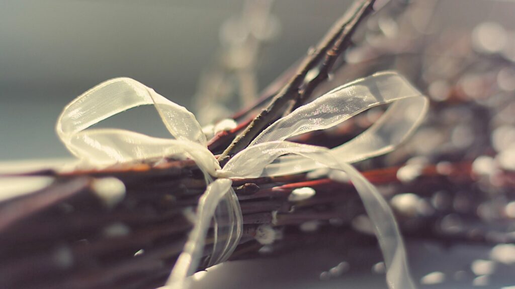 Soft Willow Branch Wallpaper with Buds & Ribbon - Serene Background