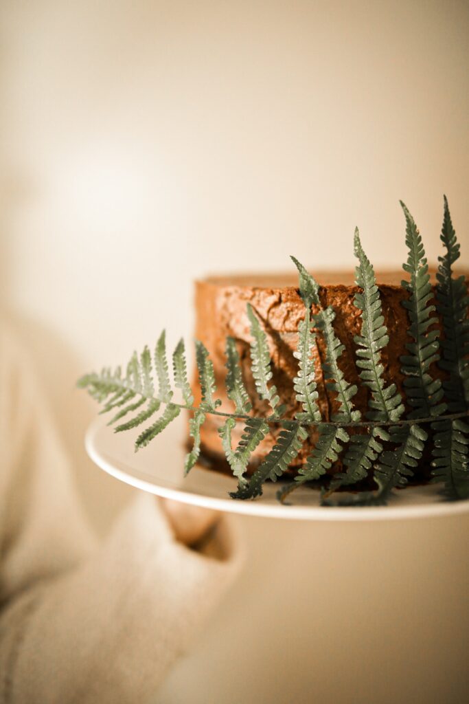 Close-Up of Delicious Chocolate Cake on White Plate with Fern Leaf Wallpaper