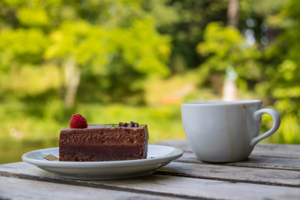 Indulge in Chocolate Cake with Raspberry Garnish: Scenic Outdoor Delight Wallpaper