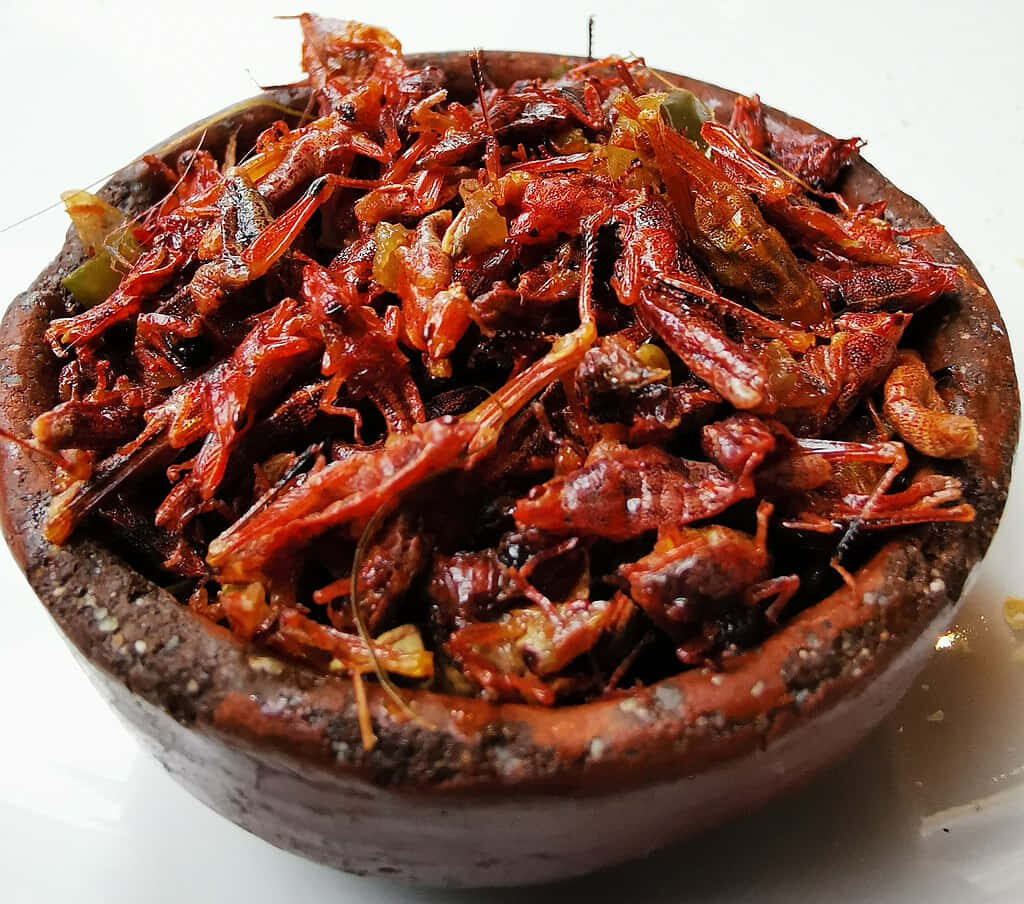 Crispy Red Fried Insects in Bowl - Vibrant Cuisine Wallpaper