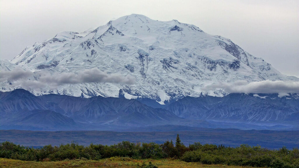Majestic Denali: Snowy Summit Surrounded by Lush Greenery Wallpaper