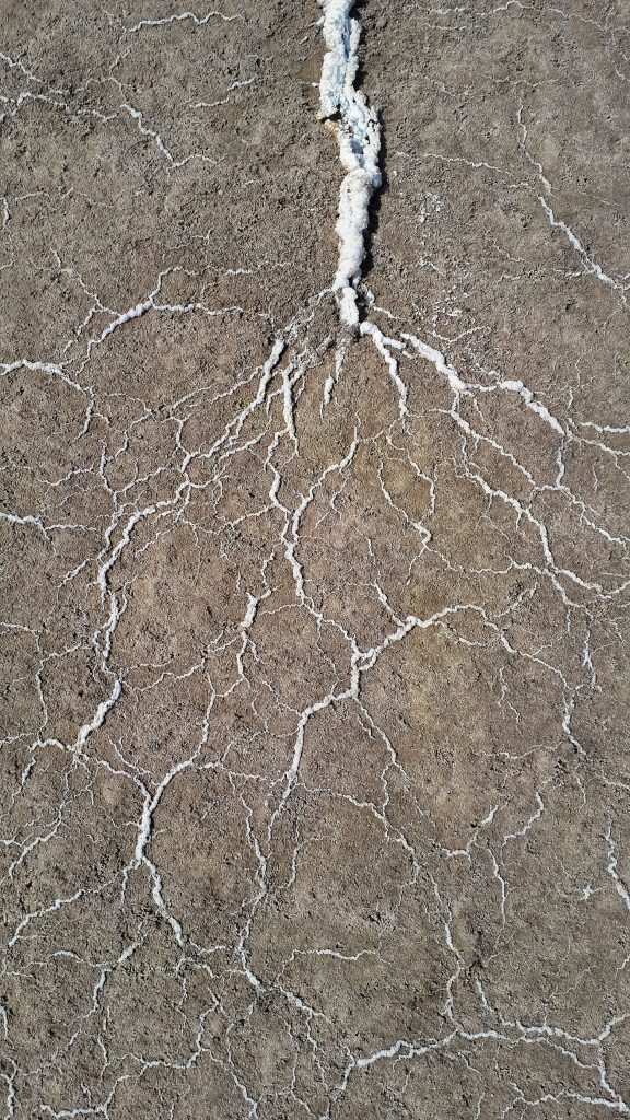 Overhead view of cracked dry earth with white dendritic salt crystals natural wallpaper background