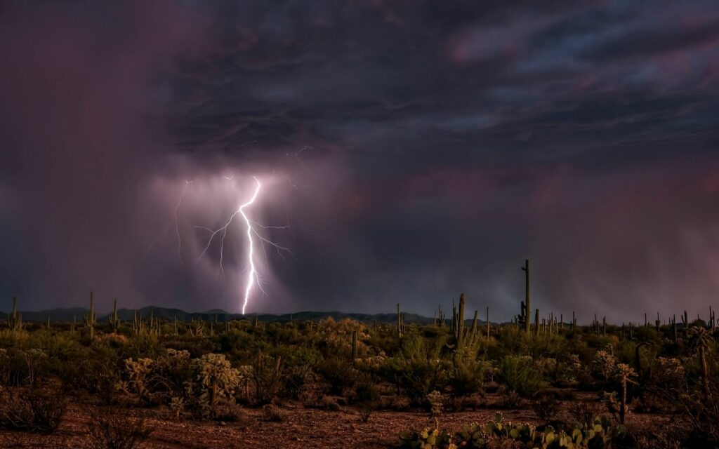 Dramatic lightning bolt over desert with cactuses under stormy dark sky rich earth tones wallpaper