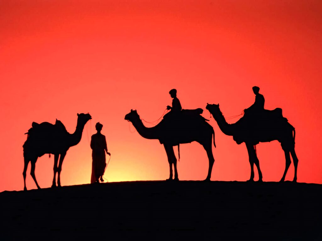 Silhouette of camels and riders at vibrant orange sunset in Middle East desert landscape wallpaper