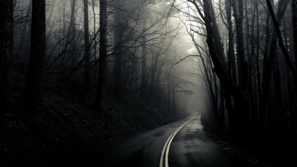 Through the Shadows: A Bleak Journey into the Depths of Desolation Wallpaper