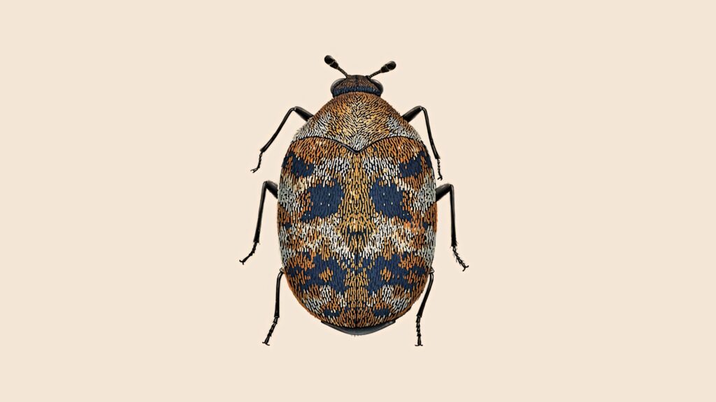 Detailed carpet beetle illustration with intricate patterns on a minimalist beige background wallpaper