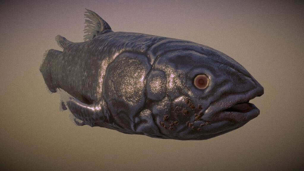 Detailed side view of prehistoric coelacanth with textured scales on natural tone wallpaper background