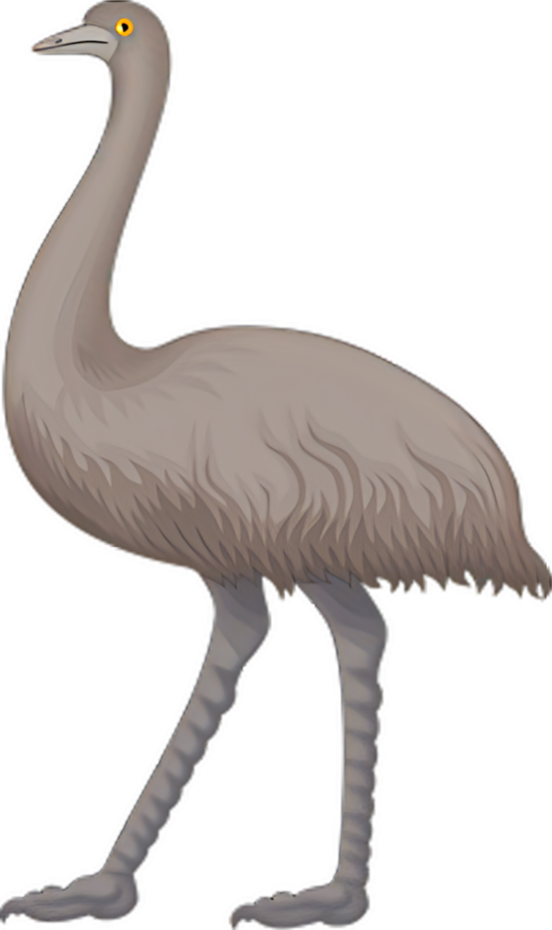 Extinct Emu Wallpaper: Detailed Illustration with Soft Brown Feathers