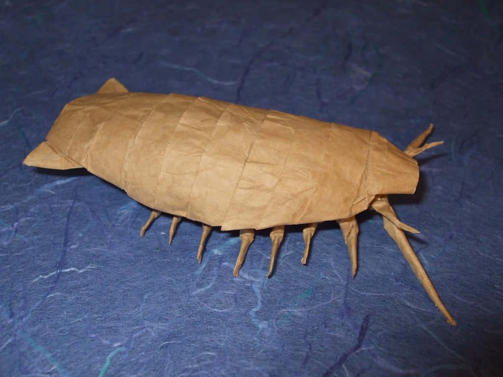 Detailed origami giant isopod folded from brown kraft paper on textured blue background wallpaper