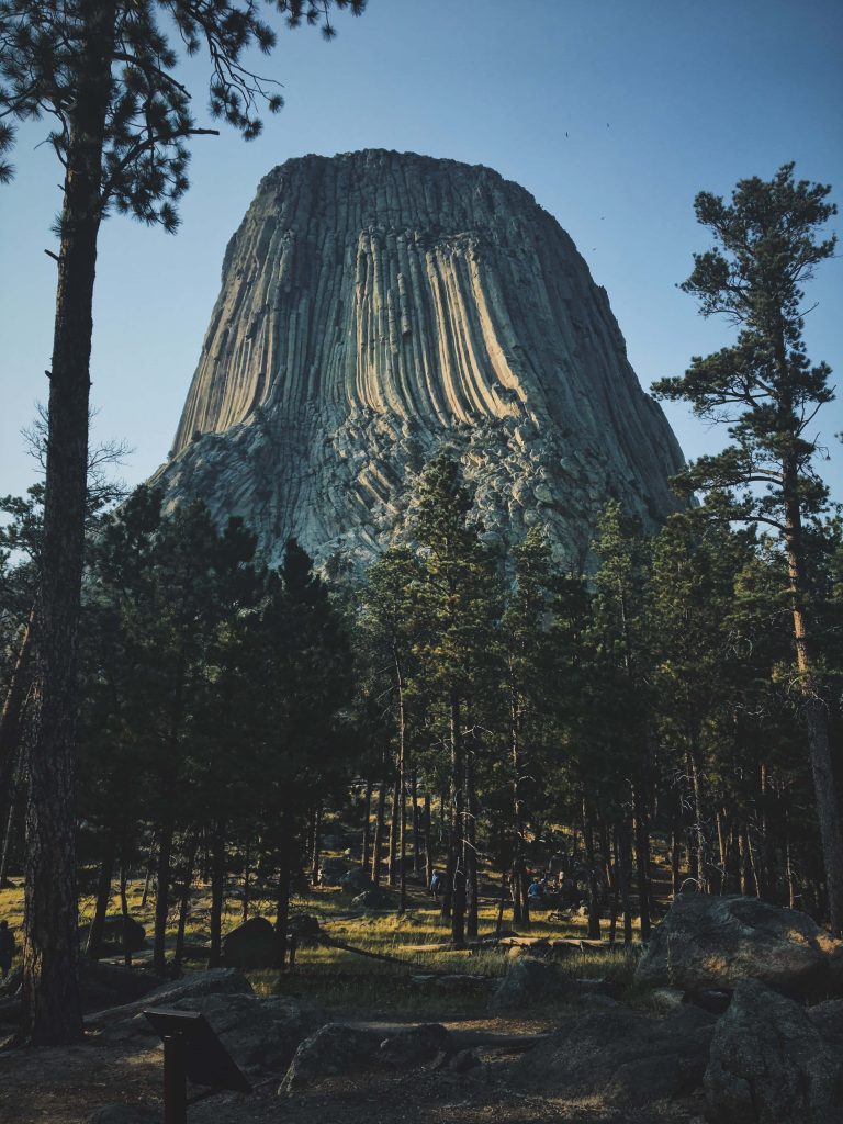 Devils Tower Wyoming towering rock formation above pine forest in warm sunlight wallpaper