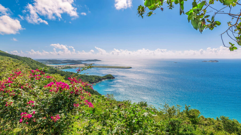Tranquil Beach Oasis: Lush Greenery & Vibrant Flowers by Azure Waters Wallpaper