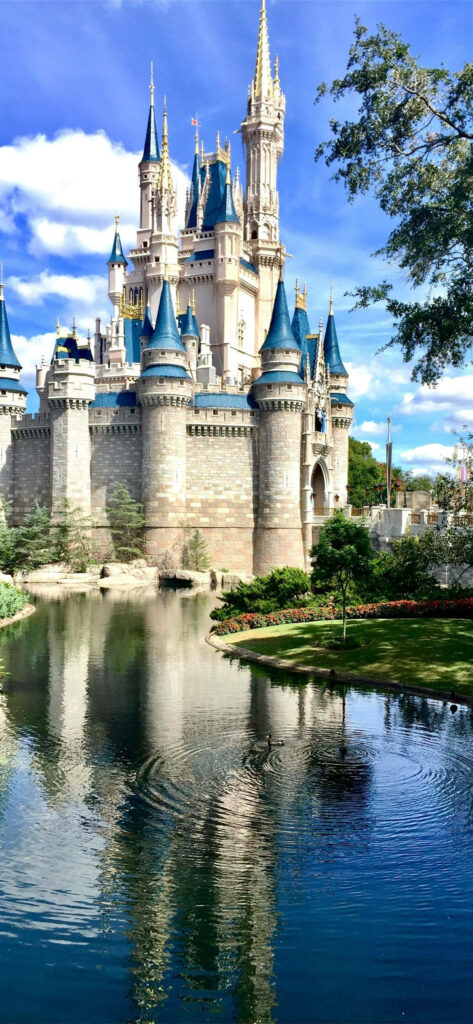 Rear view of Disney Castle reflected in calm moat with lush greenery and vibrant flowers Wallpaper