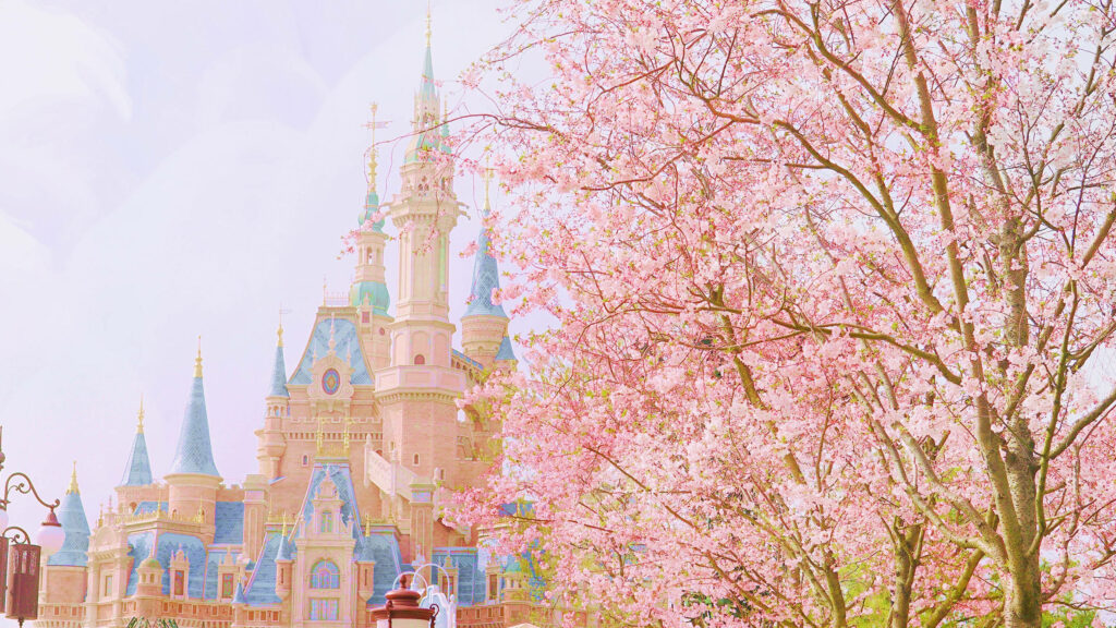 Disneyland castle framed by vibrant cherry blossoms in full bloom creating enchanting spring scene Wallpaper