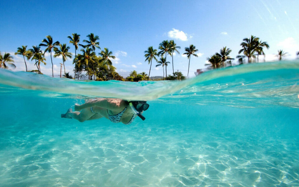 Paradise Dive: Immerse Yourself in the Clear Blue Waters of a Tropical Island Wallpaper