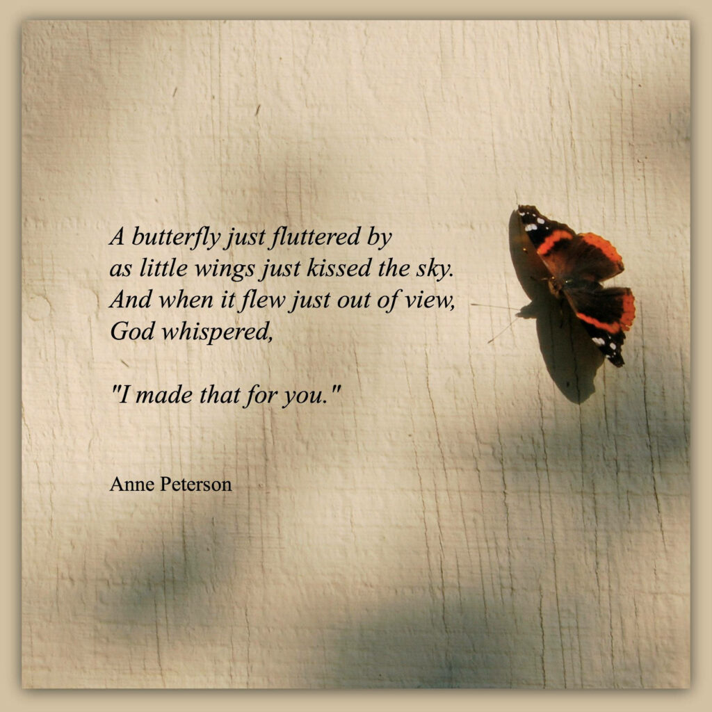 Heavenly Creation: God's Whisper Unveiled Through a Majestic Butterfly Wallpaper