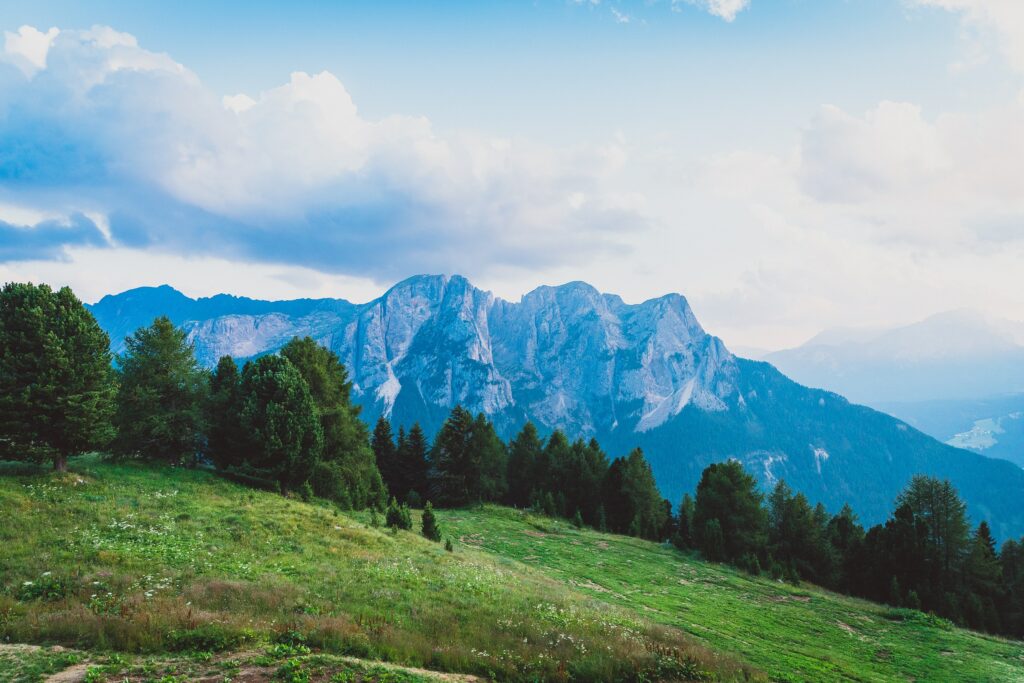 Dolomites peaks over Fassa Valley Italy with green meadow and pine trees in daylight wallpaper