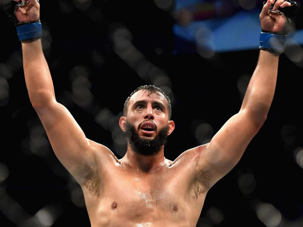 Dominick Reyes MMA fighter celebrating victory in octagon with intense focused expression wallpaper