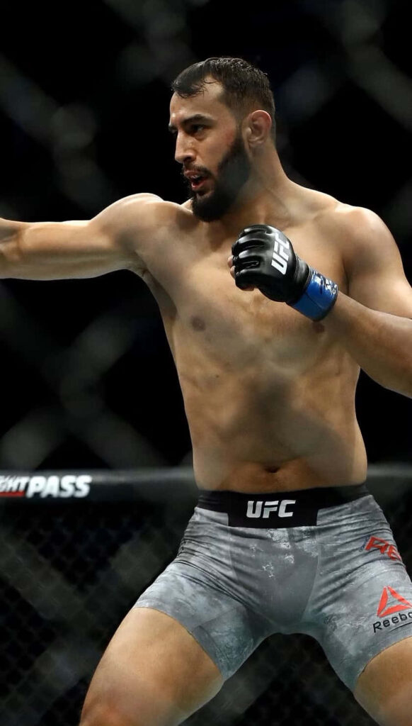 Dominick Reyes UFC fighter focused in octagon wearing grey shorts and black gloves action wallpaper