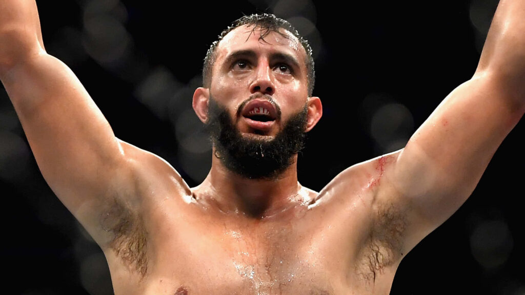 Dominick Reyes UFC champion in octagon showing athletic build intense expression and sweat wallpaper