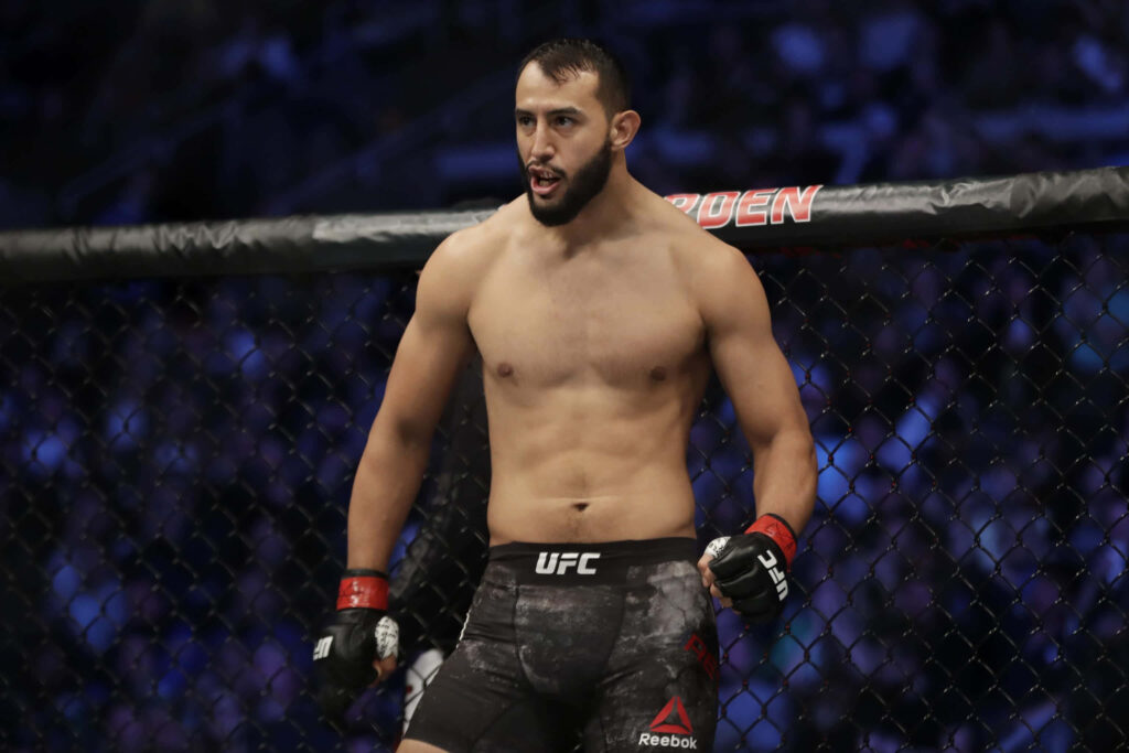 Dominick Reyes MMA fighter in UFC octagon showing focus determination and athleticism wallpaper