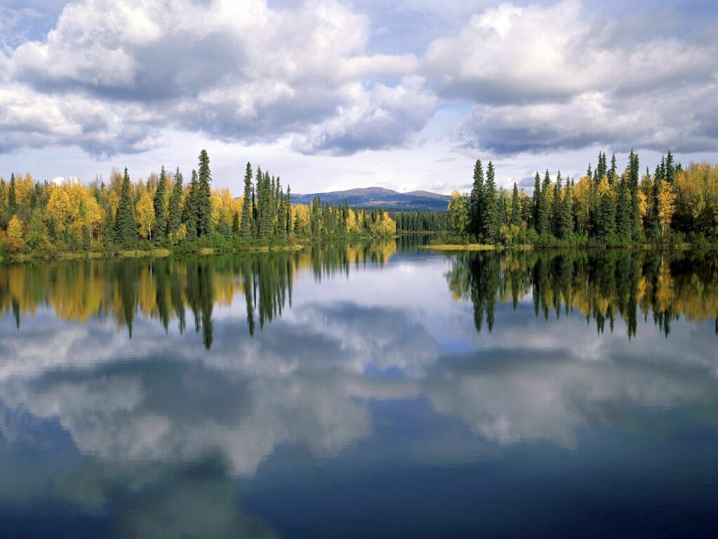Dragon Lake Yukon reflecting autumn evergreens under dramatic cloudy sky peaceful nature wallpaper