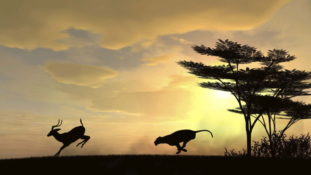 HD African savanna sunset with sprinting deer and predator silhouettes by acacia trees Wallpaper