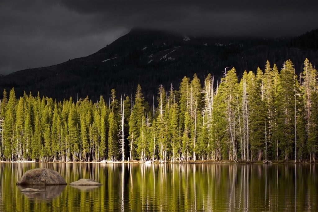 Dramatic autumn pine forest reflecting in still lake with mountain under gloomy sky wallpaper