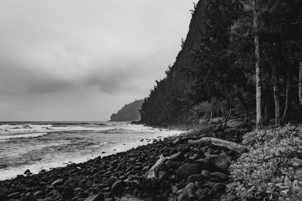 Dramatic Black and White Ocean Wallpaper: Waves & Forested Coast
