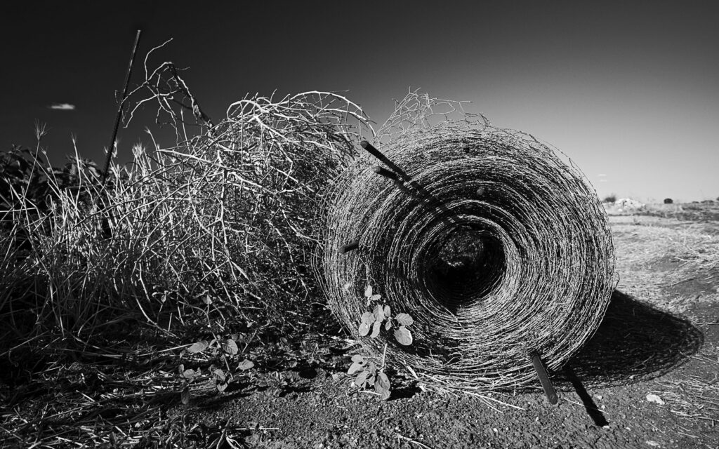 Black and white rural wallpaper with coiled hay bale in expansive textured field landscape background