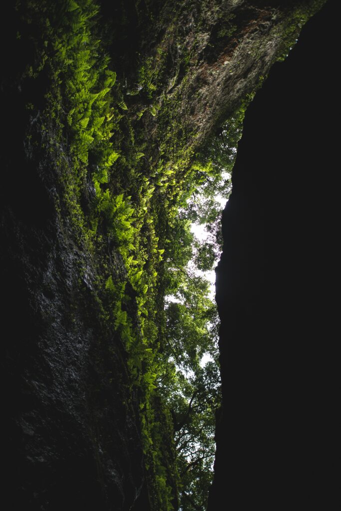 Dramatic cave entrance framed by rugged rocks and green ferns with light filtering through trees Wallpaper