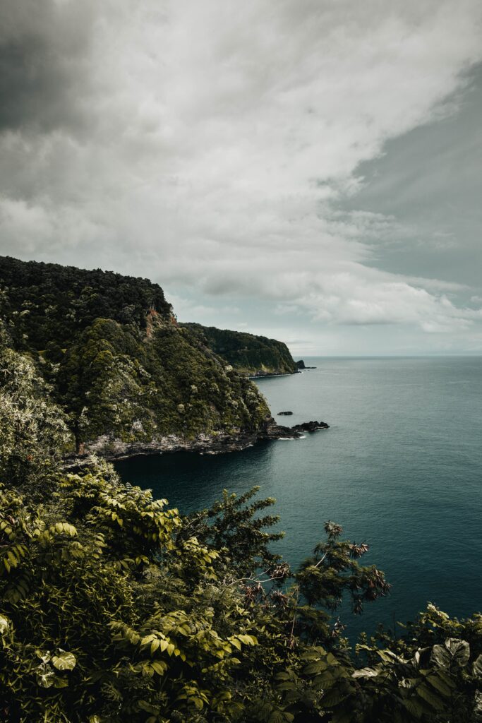 Dramatic cliffs and rocky coast with lush greenery under moody cloudy sky over serene sea wallpaper