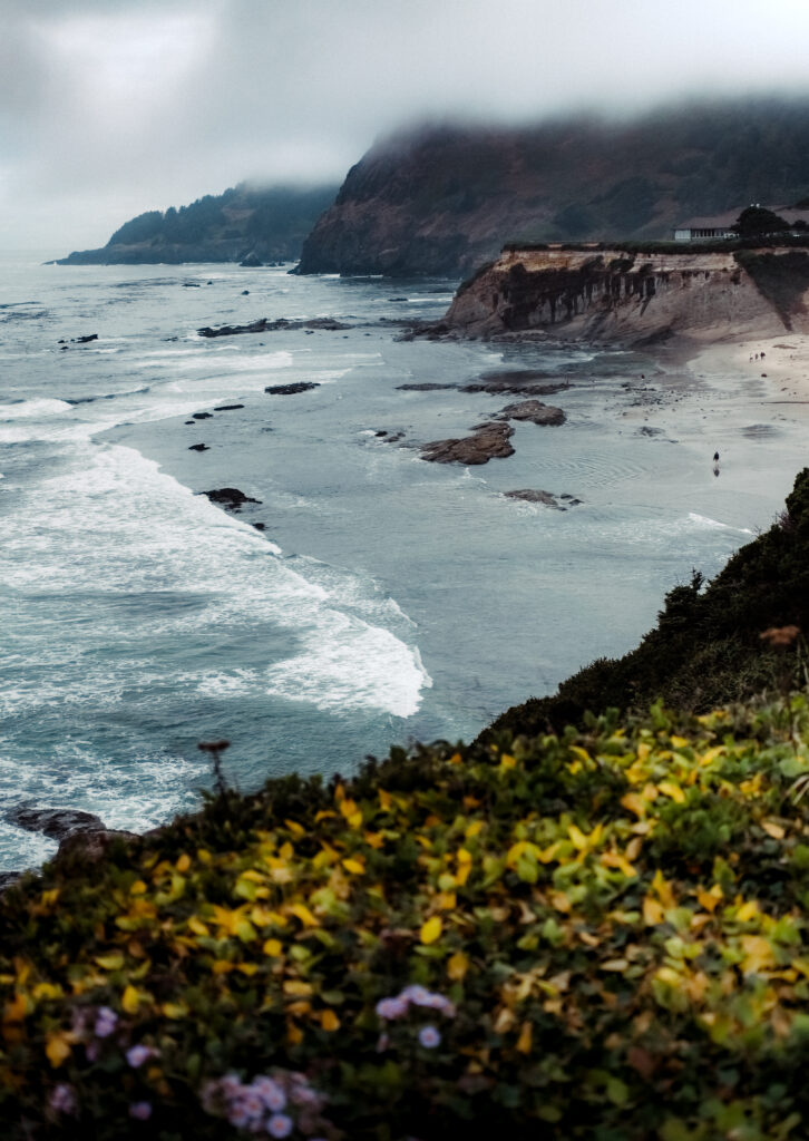 Dramatic coastal cliffs and crashing waves with misty hills and vibrant wildflowers foreground wallpaper