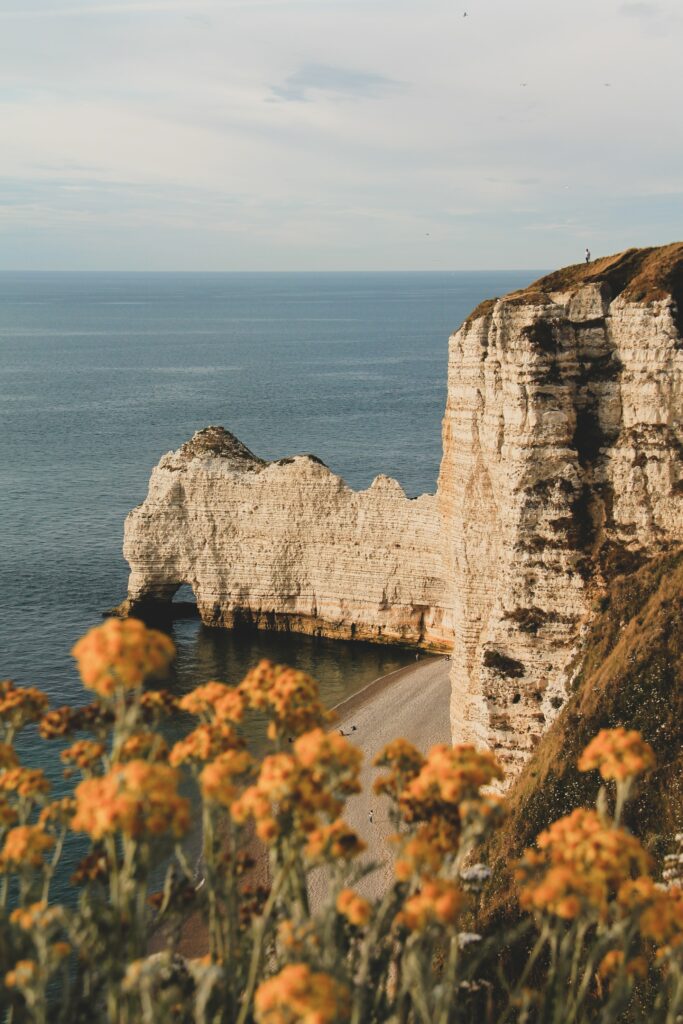 Coastal cliffs with layered rocks above calm blue sea and yellow flowers under soft sky wallpaper background