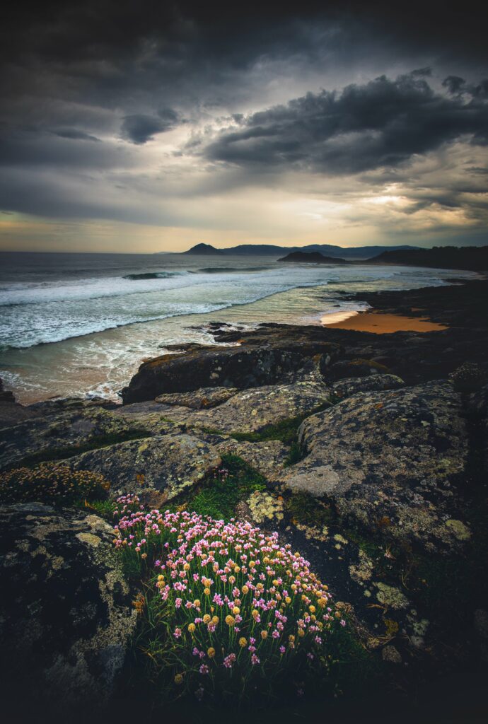 Dramatic coastal scene with rugged stones wildflowers crashing waves cloudy sky nature wallpaper
