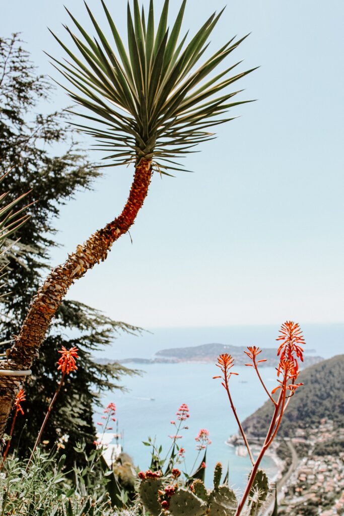 Vibrant coastal wallpaper with palm tree colorful flowers rugged cliffs and shimmering blue sea