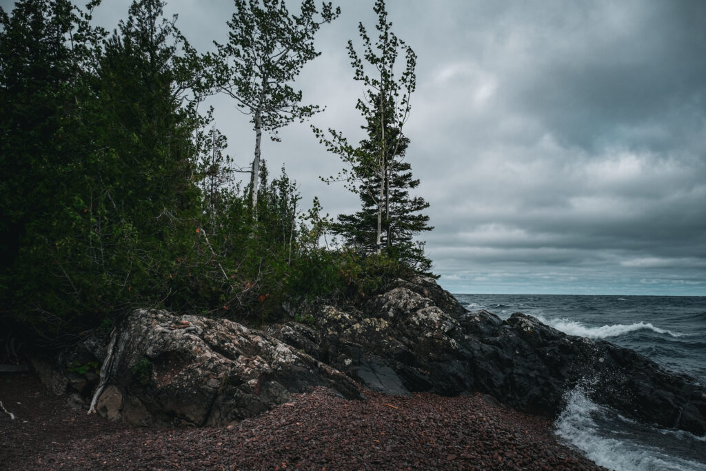 Dramatic coastal scene with rugged rocks tall trees dark waves and moody overcast sky wallpaper