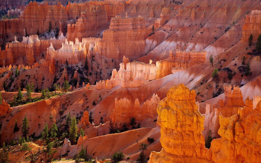 Dramatic desert canyons with vivid orange red rock formations and green trees wallpaper background